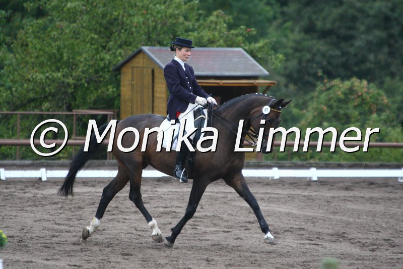 009M8124_Ginger T_Dressur M.JPG